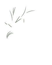 Restorative Medicamnet